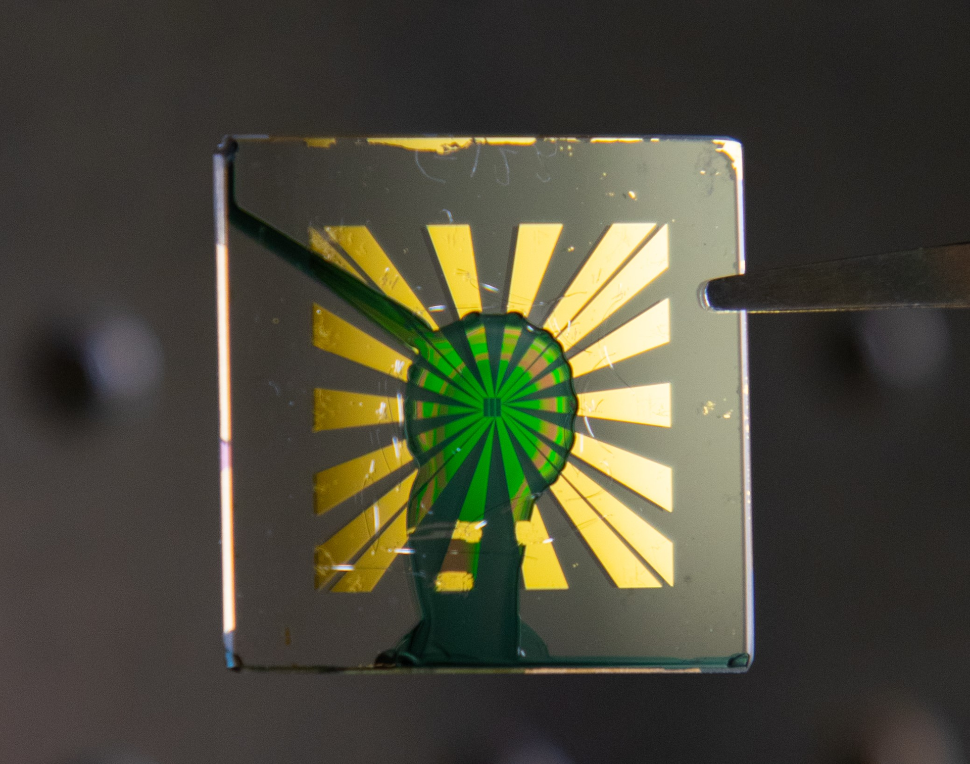 2111 Lfw Nb 3 New 617af57dced13