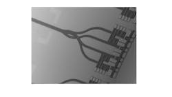 FIGURE 6. SEM picture of a monolithically integrated InP-based CV-QKD photodetector chip. FIGURE 6. SEM picture of a monolithically integrated InP-based CV-QKD photodetector chip.