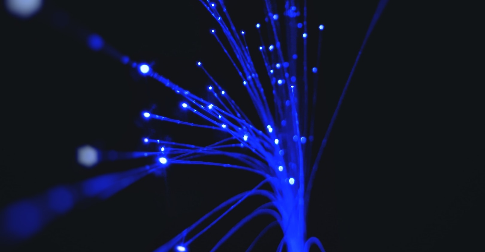 Sigmund L Y Jen49 Re4 Unsplash