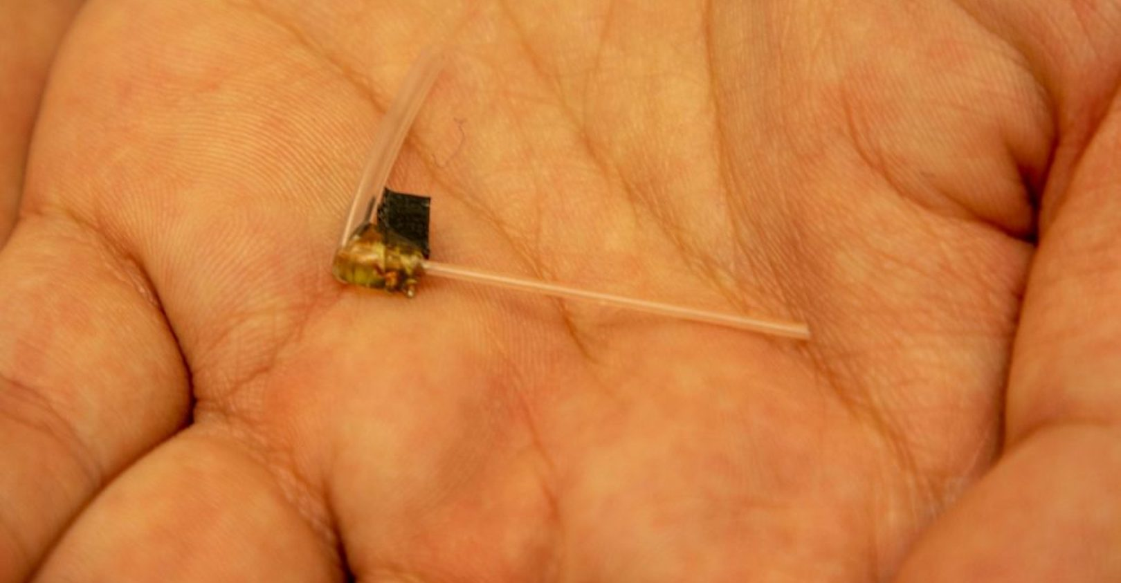 Miniature fiber device developed in Virginia Tech's College of Engineering could make cancer immunotherapy more effective.