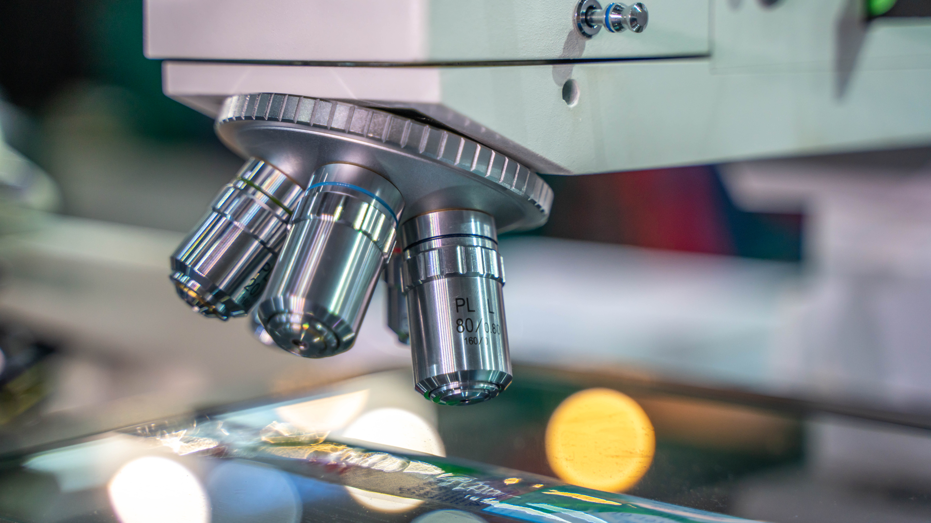 Dreamstime Xl 177919414