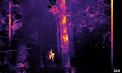 As Earth Day 2019 passes, it is important to acknowledge the role photonics is playing in attempting to sustain life on our planet. For example, thermal imaging is being used to assess and monitor the populations of animals in their native habitats; here, Orangutans in Sabah, Malaysia are being monitored and counted to assess health of the species. As Earth Day 2019 passes, it is important to acknowledge the role photonics is playing in attempting to sustain life on our planet. For example, thermal imaging is being used to assess and monitor the populations of animals in their native habitats; here, Orangutans in Sabah, Malaysia are being monitored and counted to assess health of the species.