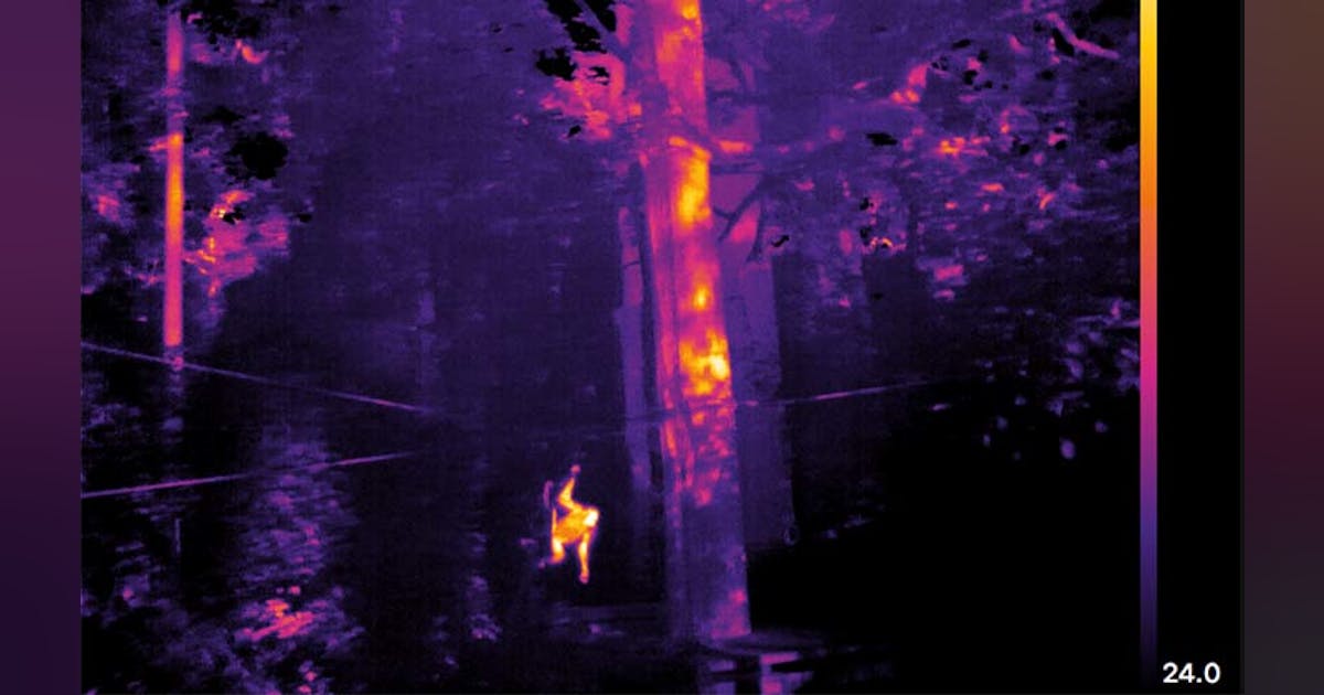 Thermal imaging finds new applications in animal population monitoring ...