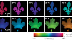 Lifetime images of green (top row) and red (bottom row) upconversion emission bands under different temperatures, captured by SPLIT technology.