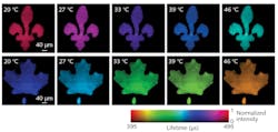 Lifetime images of green (top row) and red (bottom row) upconversion emission bands under different temperatures, captured by SPLIT technology. Lifetime images of green (top row) and red (bottom row) upconversion emission bands under different temperatures, captured by SPLIT technology.