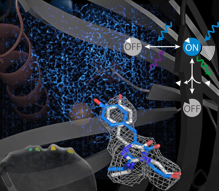FIGURE 1. Model of a switchable sensor.
