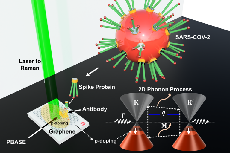 An illustration of the graphene-based COVID-19 spike protein detection process developed at the University of Illinois. The white rectangle represents the substrate with graphene functionalized with SARS-CoV-2 antibody (shown in yellow). When this graphene detector interacts with the virus&rsquo; spike protein in a COVID-positive sample, its atomic vibration frequency changes.