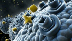 Nano Nose Cancer 61c1fe867bd2d Nano Nose Cancer 61c1fe867bd2d