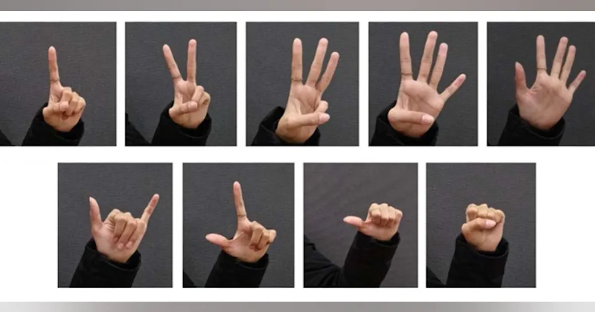 Hand Sign In Computer Hand gesture system enhances human-computer interaction | Laser Focus World