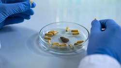 Dreamstime Xl 131848680 61e8748df378e Dreamstime Xl 131848680 61e8748df378e