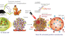 Schematic of the mechanism of action of photoactivatable adhesive nanobombs made with bioinspired strategies from marine tunicates and mussels.