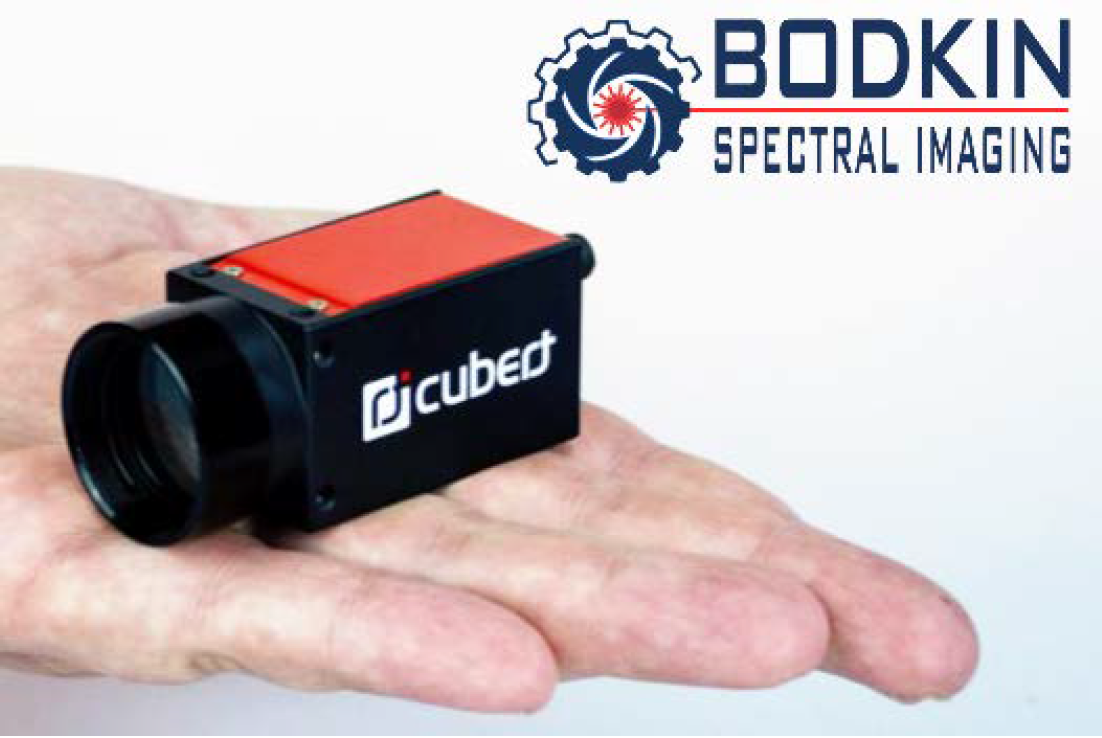 Screen Shot 2022 02 02 At 3 15 53 Pm