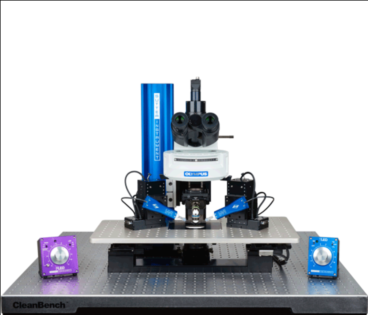 Screen Shot 2022 02 14 At 6 07 18 Pm