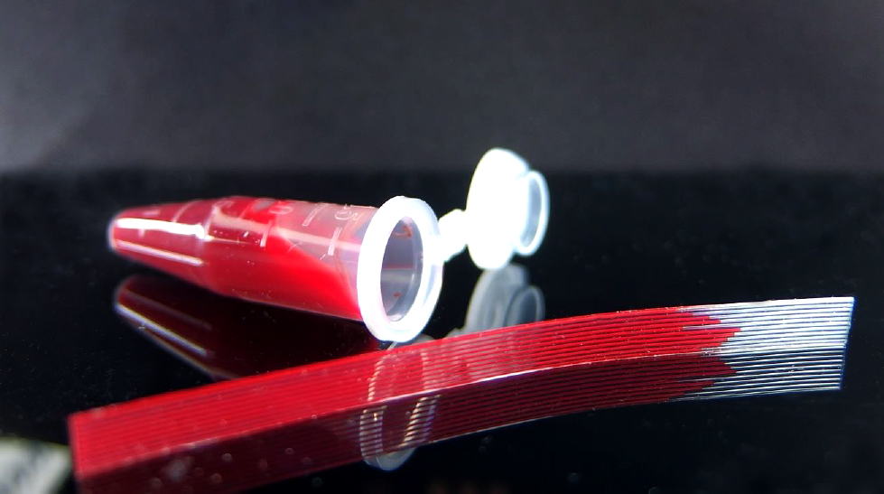 'Lab on a stick' test optically and rapidly detects antibiotic