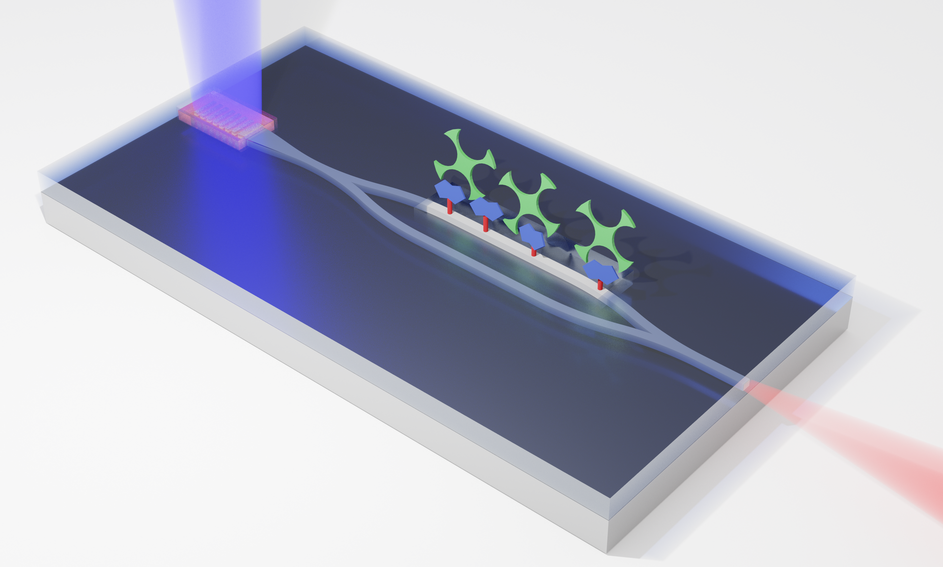 A new photonic integrated circuit uses an inexpensive diode laser to pump an on-chip single-mode laser through a silicon nitride waveguide interferometer. With one leg of the interferometer biofunctionalized, the device becomes a rapid and accurate biosensor.