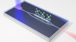 A new photonic integrated circuit uses an inexpensive diode laser to pump an on-chip single-mode laser through a silicon nitride waveguide interferometer. With one leg of the interferometer biofunctionalized, the device becomes a rapid and accurate biosensor.