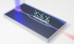 A new photonic integrated circuit uses an inexpensive diode laser to pump an on-chip single-mode laser through a silicon nitride waveguide interferometer. With one leg of the interferometer biofunctionalized, the device becomes a rapid and accurate biosensor. A new photonic integrated circuit uses an inexpensive diode laser to pump an on-chip single-mode laser through a silicon nitride waveguide interferometer. With one leg of the interferometer biofunctionalized, the device becomes a rapid and accurate biosensor.