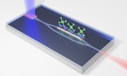 A new photonic integrated circuit uses an inexpensive diode laser to pump an on-chip single-mode laser through a silicon nitride waveguide interferometer. With one leg of the interferometer biofunctionalized, the device becomes a rapid and accurate biosensor.