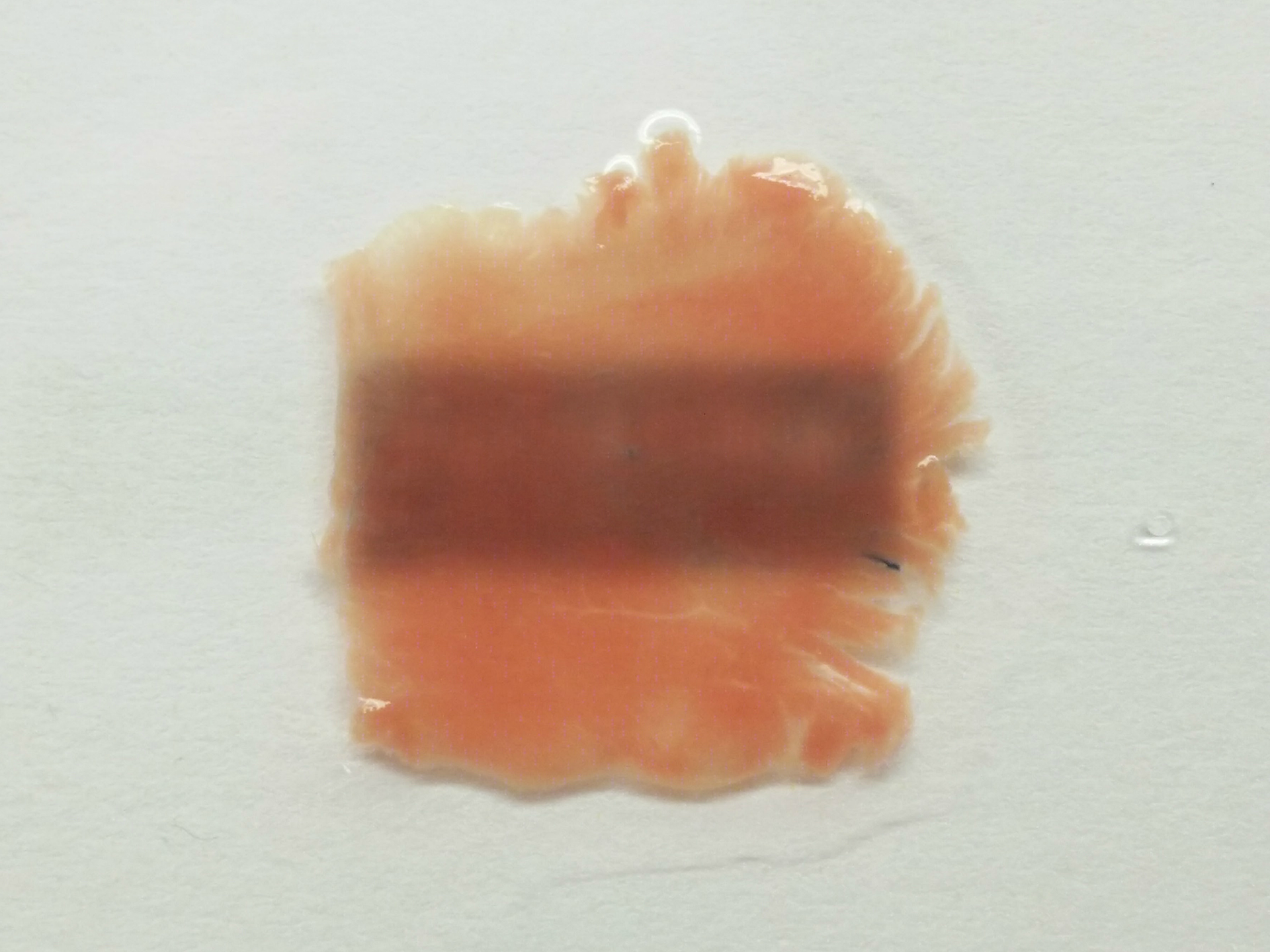 A tissue sample before treatment.