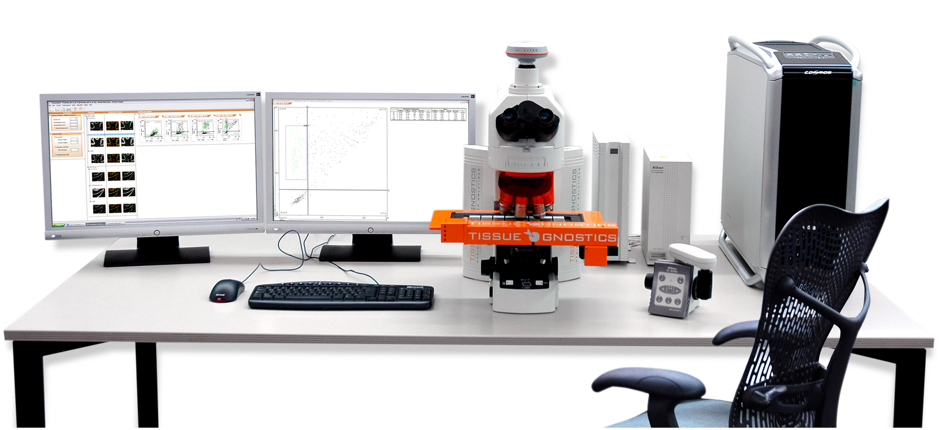 New Image 6231d8e51c4ee