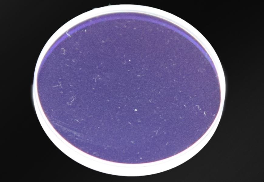 Screen Shot 2022 03 21 At 3 24 46 Pm