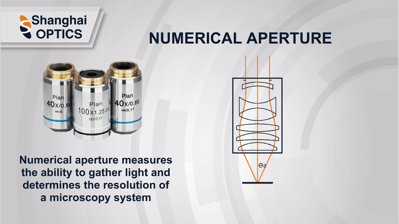 Maxresdefault 621e80337ced7