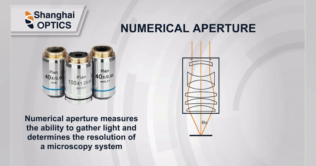 How to Choose the Right Microscope Objective | Laser Focus World