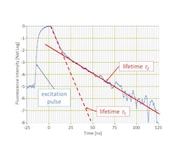 FIGURE 3. The rapid modulation of excitation pulses in TRFC generates fluorescence decays from multiple fluorophores resolved on a nanosecond timescale. This allows lifetime discrimination of fluorophore emissions with overlapping or even identical emission spectra—as seen here in these measurements of emissions from an organic dye (dashed line) and a nanoparticle (solid line) excited at 405 nm, simultaneously collected on a single detector. FIGURE 3. The rapid modulation of excitation pulses in TRFC generates fluorescence decays from multiple fluorophores resolved on a nanosecond timescale. This allows lifetime discrimination of fluorophore emissions with overlapping or even identical emission spectra—as seen here in these measurements of emissions from an organic dye (dashed line) and a nanoparticle (solid line) excited at 405 nm, simultaneously collected on a single detector.
