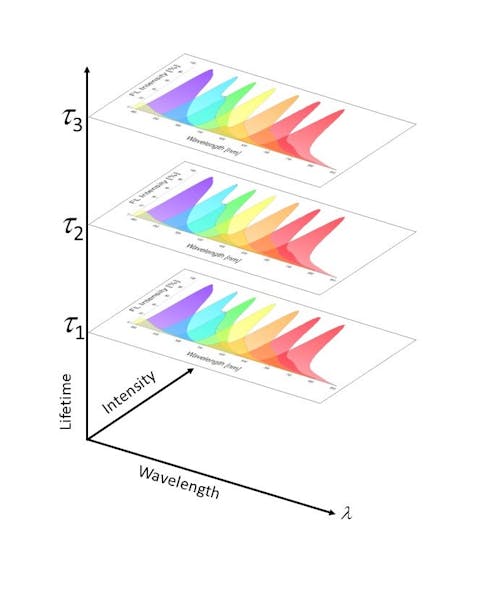 FIGURE 4. Conventional flow cytometry measurements capture fluorescence intensity over wavelength. Kinetic River&rsquo;s TRFC approach opens up a whole new dimension of measurement in flow cytometry&mdash;fluorescence lifetime (vertical axis). This allows the &ldquo;stacking&rdquo; of fluorophore emissions, doubling or even tripling the number of markers measurable by each detector.