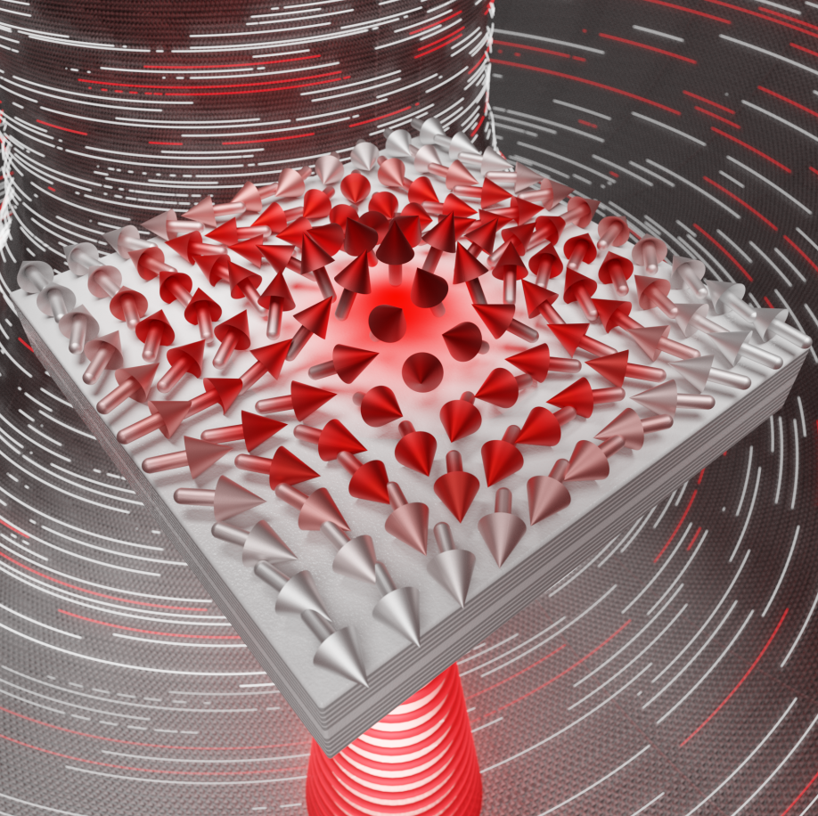 FIGURE 1. Visualization of exotic skyrmions.
