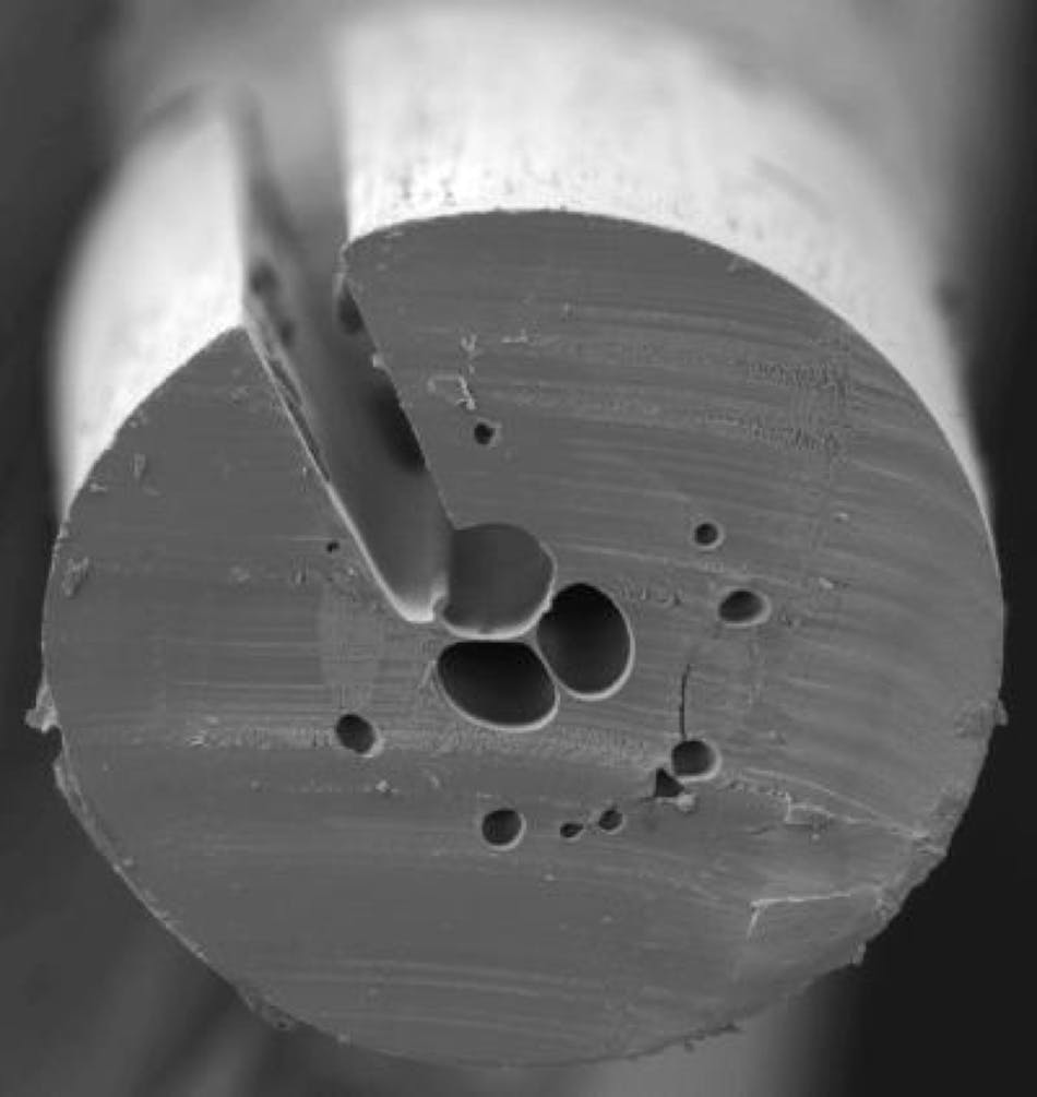 FIGURE 4. A side hole in this mPOF (cross-section) allows the fiber to be filled with fluid without interfering with end-coupling.