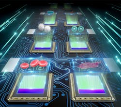 FIGURE 1. The scheme of coded ptychographic microscopy. The cover glass of the image sensor is replaced by a disorder-engineered surface. The specimen is translated across the engineered surface for lensless diffraction data acquisition. FIGURE 1. The scheme of coded ptychographic microscopy. The cover glass of the image sensor is replaced by a disorder-engineered surface. The specimen is translated across the engineered surface for lensless diffraction data acquisition.