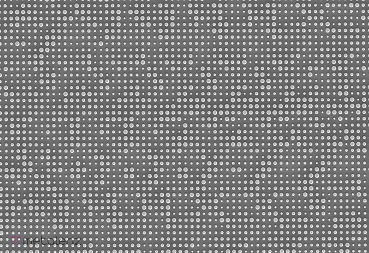 FIGURE 1. Top-down scanning-electron microscopy image of Metalenz' meta-optic chip.