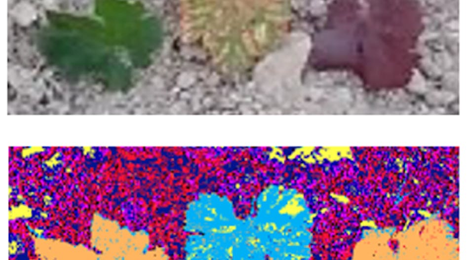FIGURE 1. Early detection of diseases in vineyards using the SILIOS CMS4-V multispectral camera.