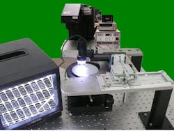 01 Lfw 2 Semiprobe 62b0c52874cb7 01 Lfw 2 Semiprobe 62b0c52874cb7
