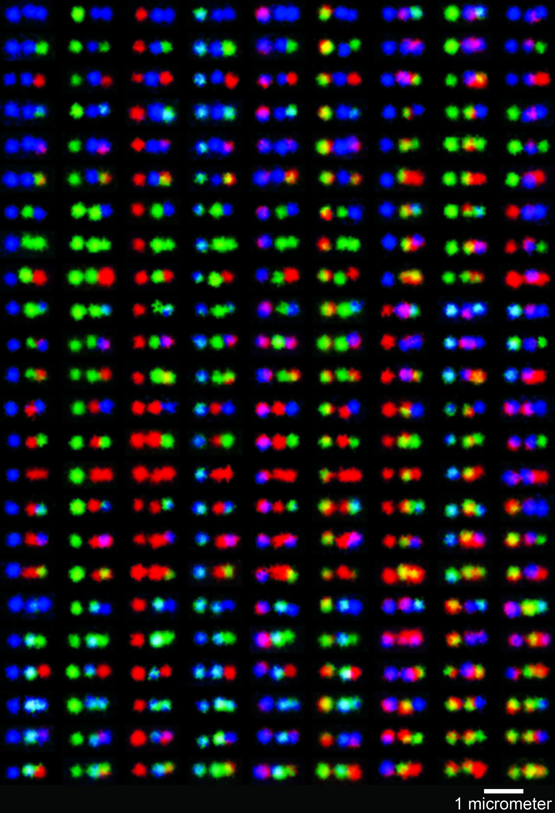 More than 200 color combinations result from attaching just three colors to a DNA nanotube using 'DNA origami' technology.