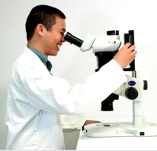 FIGURE 3. Users can easily adjust Olympus SZX microscopes for proper ergonomics.