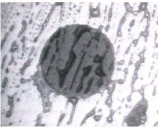 FIGURE 1. Fingerprint oils seen with a specialized 200x inspection scope.