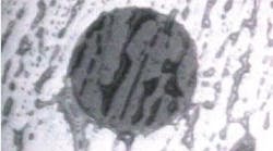 FIGURE 1. Fingerprint oils seen with a specialized 200x inspection scope. FIGURE 1. Fingerprint oils seen with a specialized 200x inspection scope.