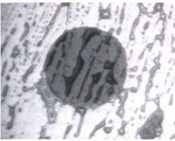 FIGURE 1. Fingerprint oils seen with a specialized 200x inspection scope. FIGURE 1. Fingerprint oils seen with a specialized 200x inspection scope.