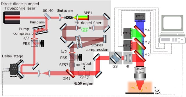 FIGURE 2. Multimodal nonlinear optical microscopy setup based on direct diode-pumped Ti:sapphire laser.
