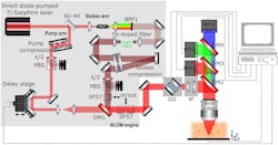 FIGURE 2. Multimodal nonlinear optical microscopy setup based on direct diode-pumped Ti:sapphire laser. FIGURE 2. Multimodal nonlinear optical microscopy setup based on direct diode-pumped Ti:sapphire laser.