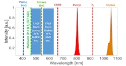 FIGURE 3. Spectra of pump and Stokes beam, and the relative excitation bandwidth of multiphoton absorption: SHG, two-photon absorption (TPEF) and CARS. By synchronizing pump and Stokes beams, we create a virtual wavelength for two-photon multicolor excitation λν =2/(1/λpump +1/λStokes) that corresponds to 911 nm. FIGURE 3. Spectra of pump and Stokes beam, and the relative excitation bandwidth of multiphoton absorption: SHG, two-photon absorption (TPEF) and CARS. By synchronizing pump and Stokes beams, we create a virtual wavelength for two-photon multicolor excitation λν =2/(1/λpump +1/λStokes) that corresponds to 911 nm.
