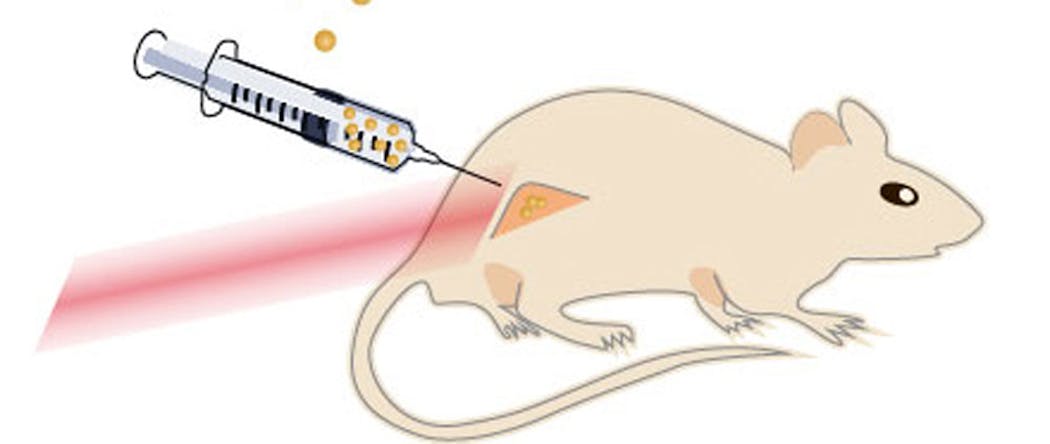 An illustration of a mouse with a cancerous tumor on its hind leg. The nanoparticles are injected directly into the tumor, which is then flashed with near-infrared laser light to penetrate through the tissue well and without no burn damage.