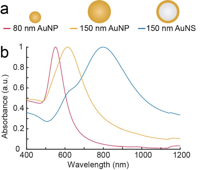 The experiments were carried out with nanoparticles of different sizes and structures. The first two of the series consisted of solid gold and the last consisted of a core of glass with a surface of gold. The beads were illuminated with NIR light with wavelengths of 807 and 1064 nm. The most effective nanoparticle was the gold-plated glass bead.