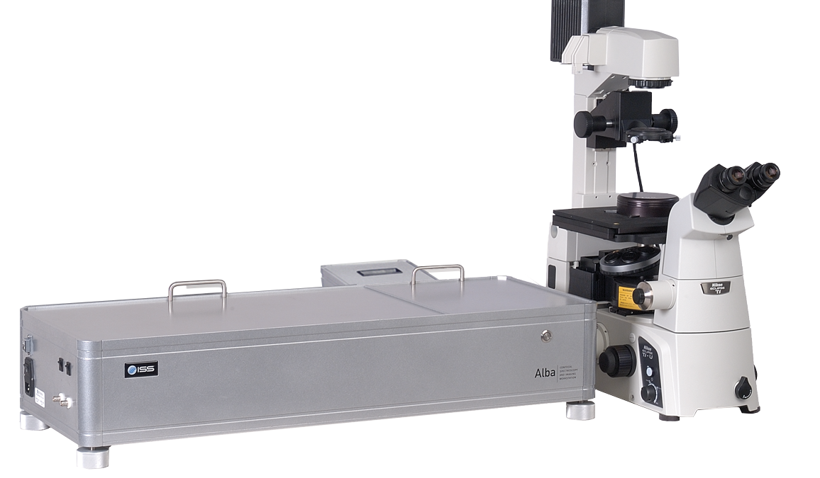 Alba Sted Transparent Bckgrnd (2)