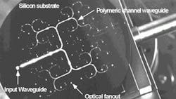 FIGURE 2. In a prototype of the optical clock distribution circuit board designed for the Cray T-90 supercomputer, the fanout points are located at the 48 termination ends of the waveguide network. The H-tree structure formed by the cascaded Y-branch beamsplitters ensures that all the fanout signals have the same power and delay time compared to the input, eliminating skew in the clock signal distribution circuits. FIGURE 2. In a prototype of the optical clock distribution circuit board designed for the Cray T-90 supercomputer, the fanout points are located at the 48 termination ends of the waveguide network. The H-tree structure formed by the cascaded Y-branch beamsplitters ensures that all the fanout signals have the same power and delay time compared to the input, eliminating skew in the clock signal distribution circuits.
