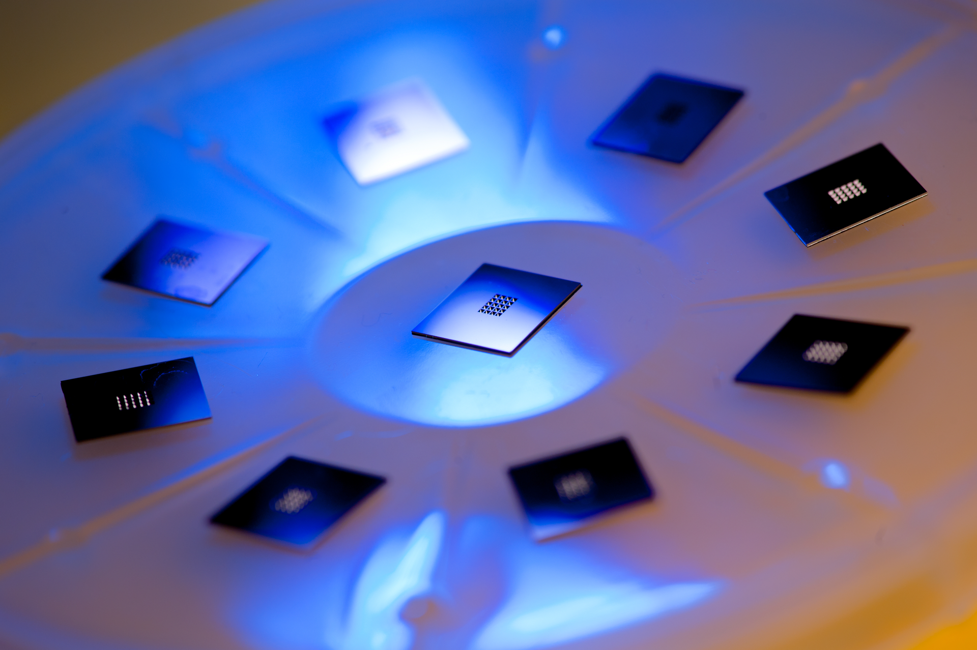 At the heart of Rice University's Programmable Bio-Nano-Chip is a grid that contains microsponges, tiny agarose beads programmed to capture biomarkers. The biomarkers help clinicians detect signs of disease in patients.