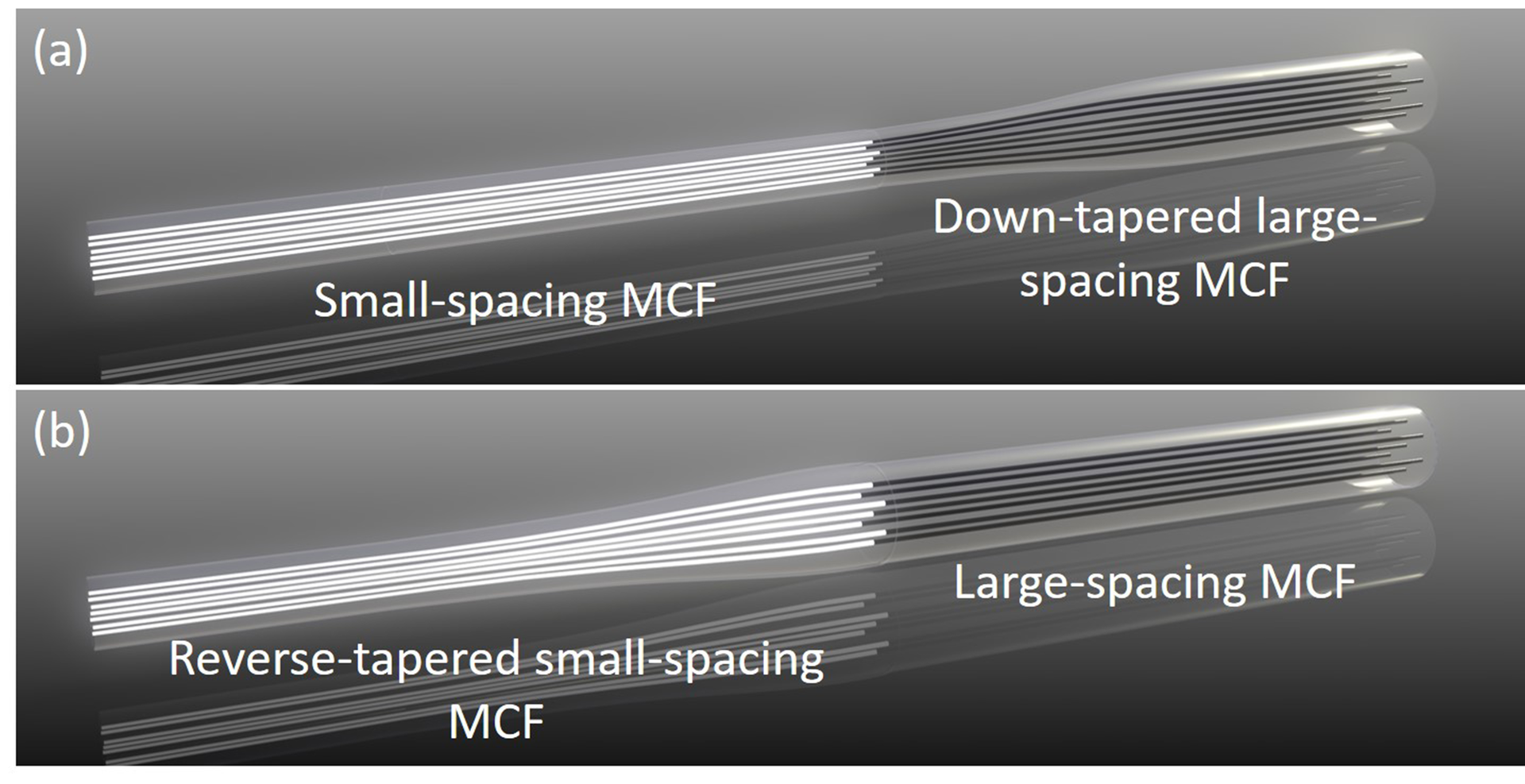 FIGURE 1. Schematics of the coupling scheme for spacing-mismatched MCFs via MCF down-tapering (a) and reverse-tapering (b).