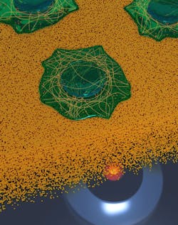FIGURE 1. An artistic rendering of cells on a gold surface resolving a microtubule&rsquo;s network and clathrin-coated pits, demonstrating the MIET-SMLM/dSTORM technique for 3D imaging of biological samples.